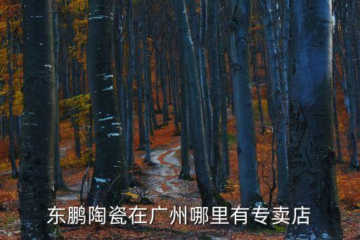 東鵬陶瓷在廣州哪里有專賣店
