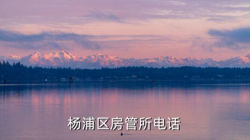楊浦區房管所電話