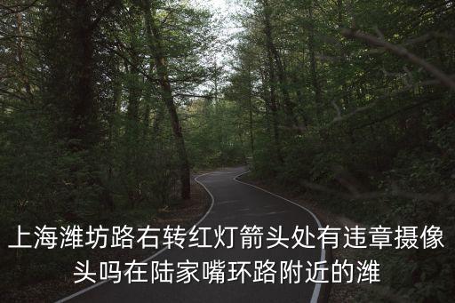 上海市箭頭信號燈，上海濰坊路右轉(zhuǎn)紅燈箭頭處有違章攝像頭嗎在陸家嘴環(huán)路附近的濰