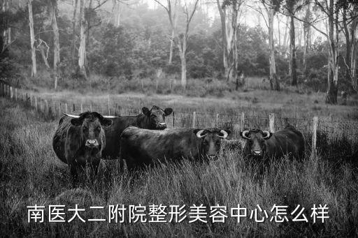 南醫大二附院整形美容中心怎么樣