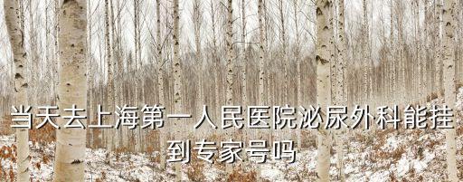 當天去上海第一人民醫院泌尿外科能掛到專家號嗎