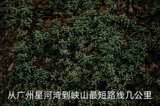 從廣州星河灣到峽山最短路線幾公里