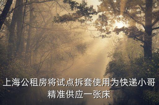 上海市房管局冷局長，房產稅政策落實情況調研報告