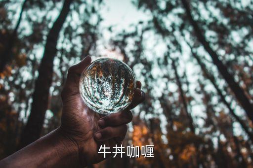廣州牛S咖喱，牛丼咖喱