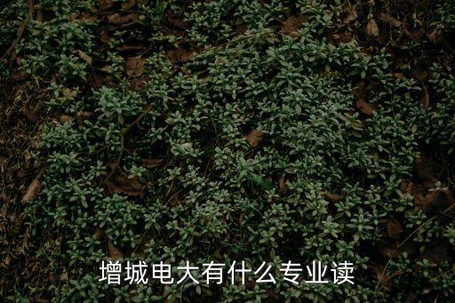 增城電大有什么專業讀
