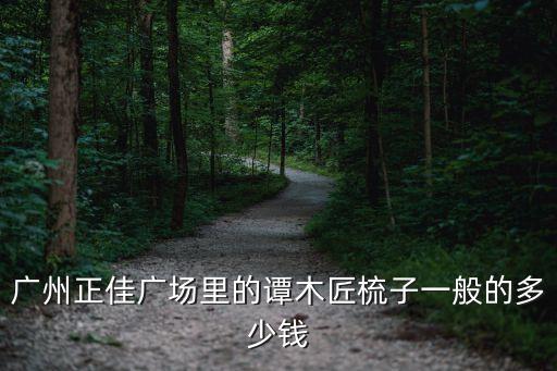 廣州正佳廣場里的譚木匠梳子一般的多少錢