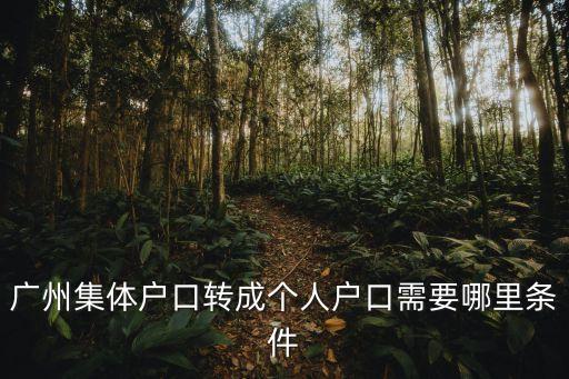 廣州集體戶口轉成個人戶口需要哪里條件