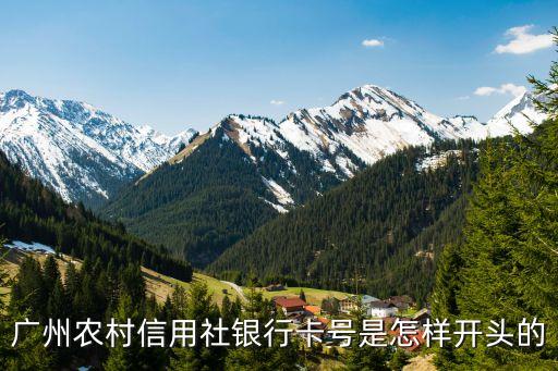 廣東廣州的銀行卡號，6222 0236 0206 0666 815 是那個銀行的卡 在那個省那位高手指點