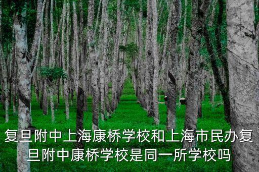復旦附中上海康橋學校和上海市民辦復旦附中康橋學校是同一所學校嗎