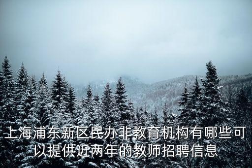 上海浦東新區(qū)民辦非教育機構(gòu)有哪些可以提供近兩年的教師招聘信息