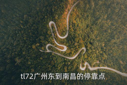 廣州東開往南昌向塘站是否停靠，t3091次列車從廣州東站到向塘的途徑站點