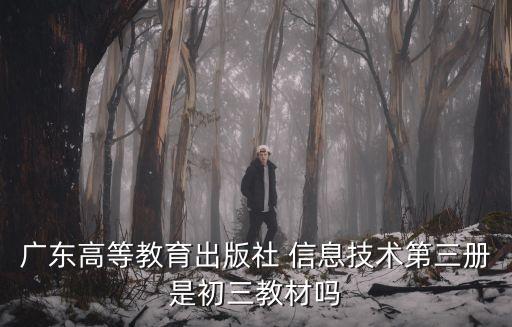 廣東高等教育出版社 信息技術第三冊是初三教材嗎