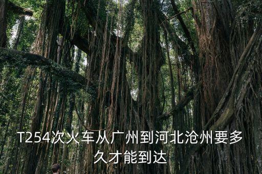 T254次火車從廣州到河北滄州要多久才能到達
