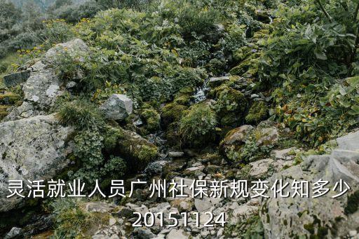 靈活就業人員廣州社保新規變化知多少20151124