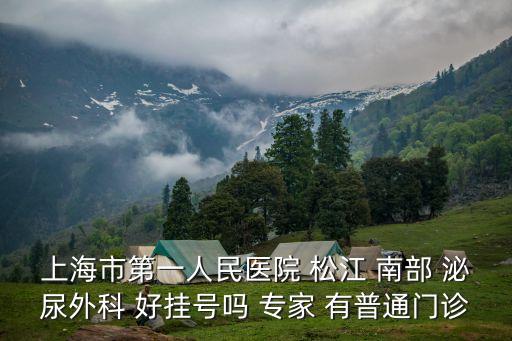 上海市笫一人民醫院泌尿外科，上海市第一人民醫院 松江 南部 泌尿外科 好掛號嗎 專家 有普通門診
