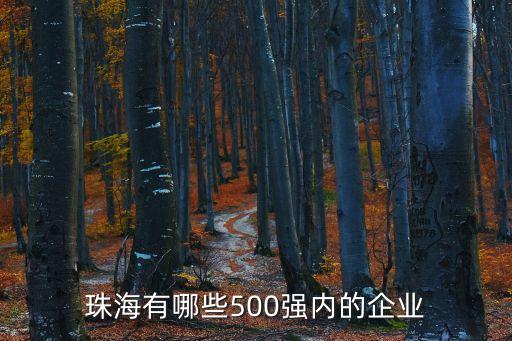 珠海有哪些500強內的企業