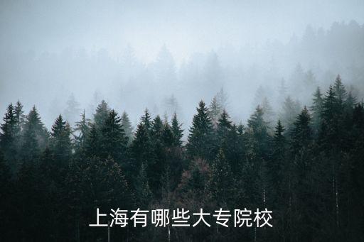 上海市大專院校名單，上海有哪些大專