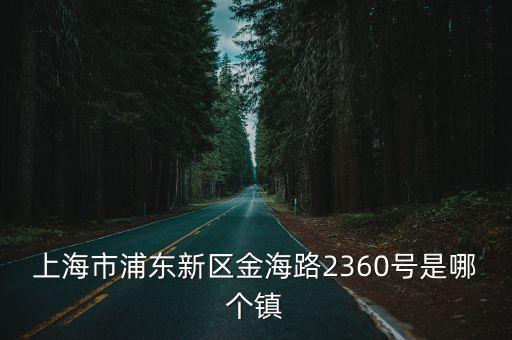 上海市浦東新區金海路2360號是哪個鎮