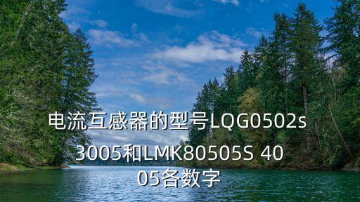 電流互感器的型號LQG0502s 3005和LMK80505S 4005各數(shù)字