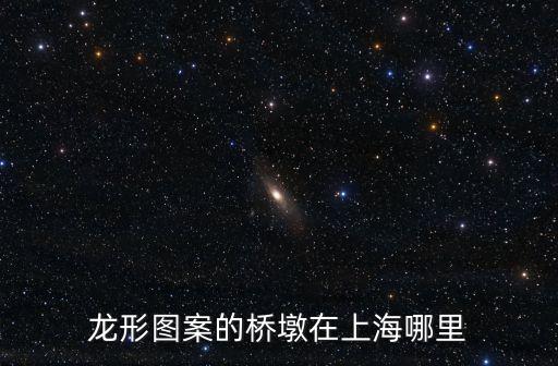 龍形圖案的橋墩在上海哪里