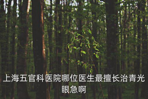 上海五官科醫院哪位醫生最擅長治青光眼急啊