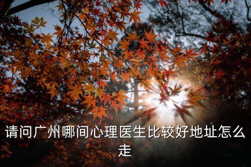 請問廣州哪間心理醫(yī)生比較好地址怎么走