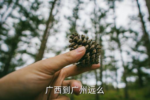 廣西省到廣州市有多遠，廣西離廣州有幾遠