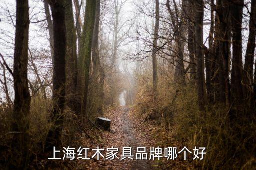 上海紅木家具品牌哪個好