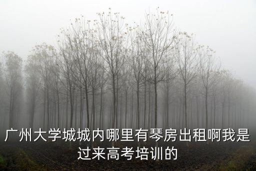 廣州大學城城內哪里有琴房出租啊我是過來高考培訓的