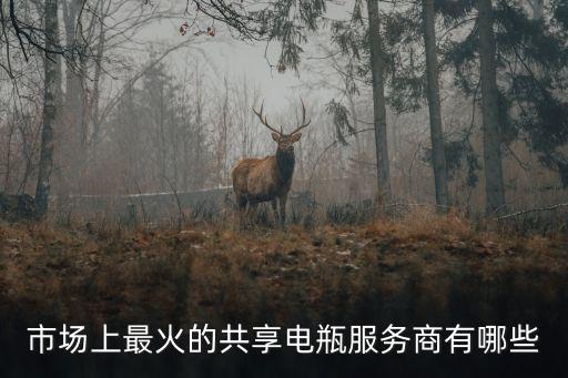 市場上最火的共享電瓶服務商有哪些