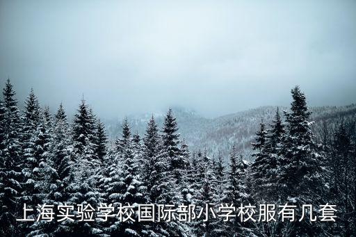 上海實驗學校國際部小學校服有幾套