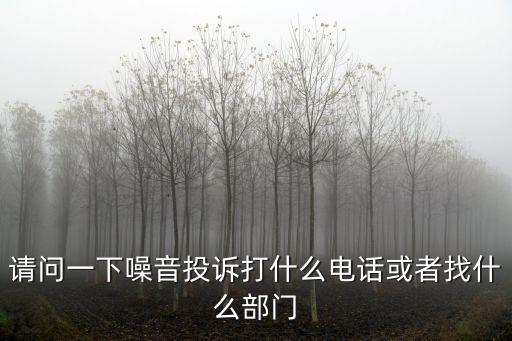 請問一下噪音投訴打什么電話或者找什么部門