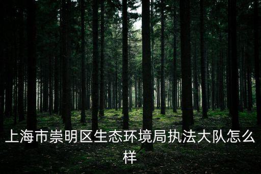 上海市崇明區生態環境局執法大隊怎么樣