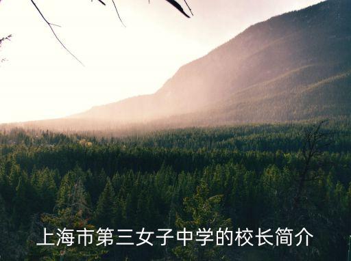 上海市第三女子中學的校長簡介