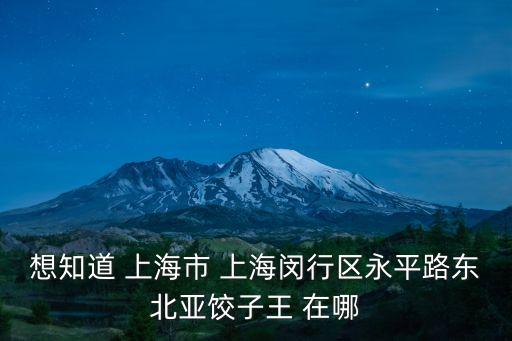 上海市東北餃子鋪市臺路店，想知道 上海市 上海閔行區永平路東北亞餃子王 在哪