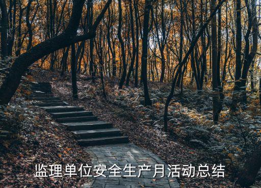 上海市安全警示片，監理單位安全生產月活動總結