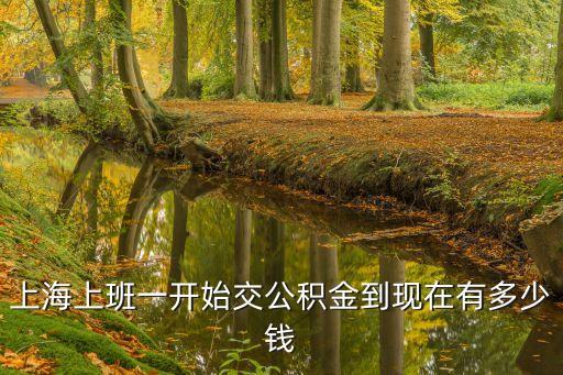 上海市自己交公積金多少錢，上海上班一開始交公積金到現在有多少錢