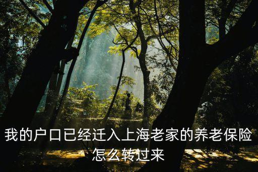 上海市養(yǎng)老保險轉(zhuǎn)入申請表，如何將外地社保轉(zhuǎn)入上海轉(zhuǎn)入手續(xù)