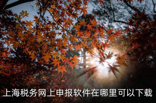 上海稅務(wù)網(wǎng)上申報(bào)軟件在哪里可以下載