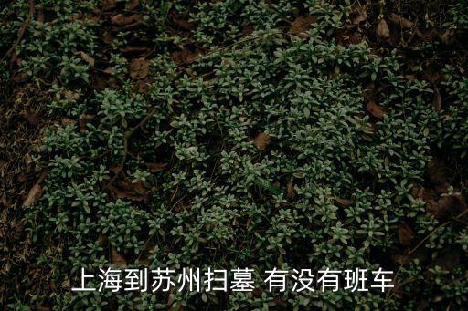 上海到蘇州掃墓 有沒有班車