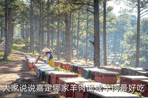 上海市嘉定羊肉面，上海有什么好吃的哦