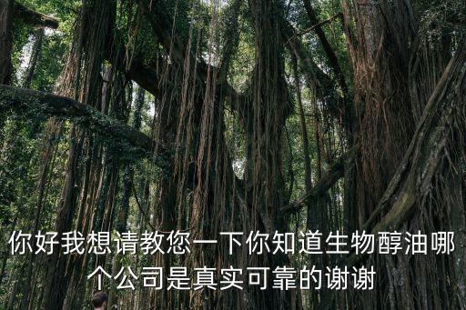 你好我想請教您一下你知道生物醇油哪個公司是真實可靠的謝謝