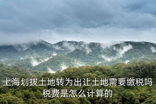 上海市 新里 劃撥土地，上海市劃撥土地限制