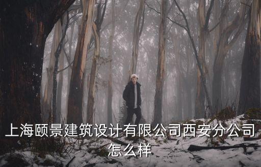 上海頤景建筑設計有限公司西安分公司怎么樣