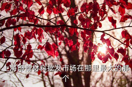 上海市印嘜供應商，上海印章材料批發市場在那里最大的那個