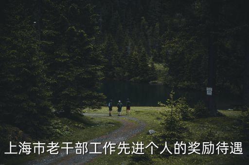 上海市勞模低收入補助，上海市老干部工作先進個人的獎勵待遇
