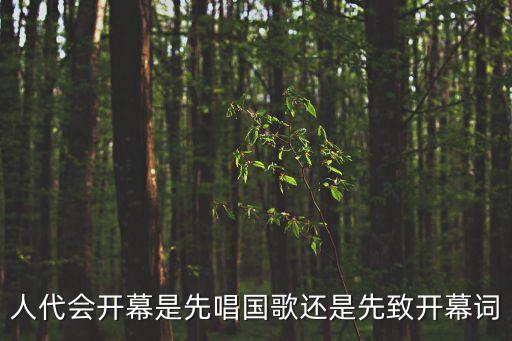 上海市人大開幕唱國歌，在剛剛的新聞聯播上今天人民大會堂會上演奏的歌一首是國歌后來