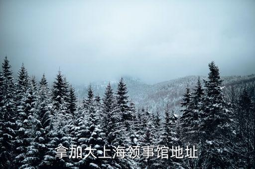 拿加大上海領事館地址