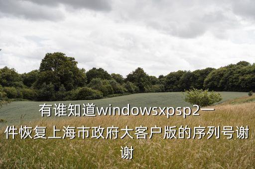 祝江華 上海市政府，有誰知道windowsxpsp2一件恢復(fù)上海市政府大客戶版的序列號(hào)謝謝