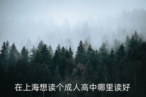 在上海想讀個成人高中哪里讀好
